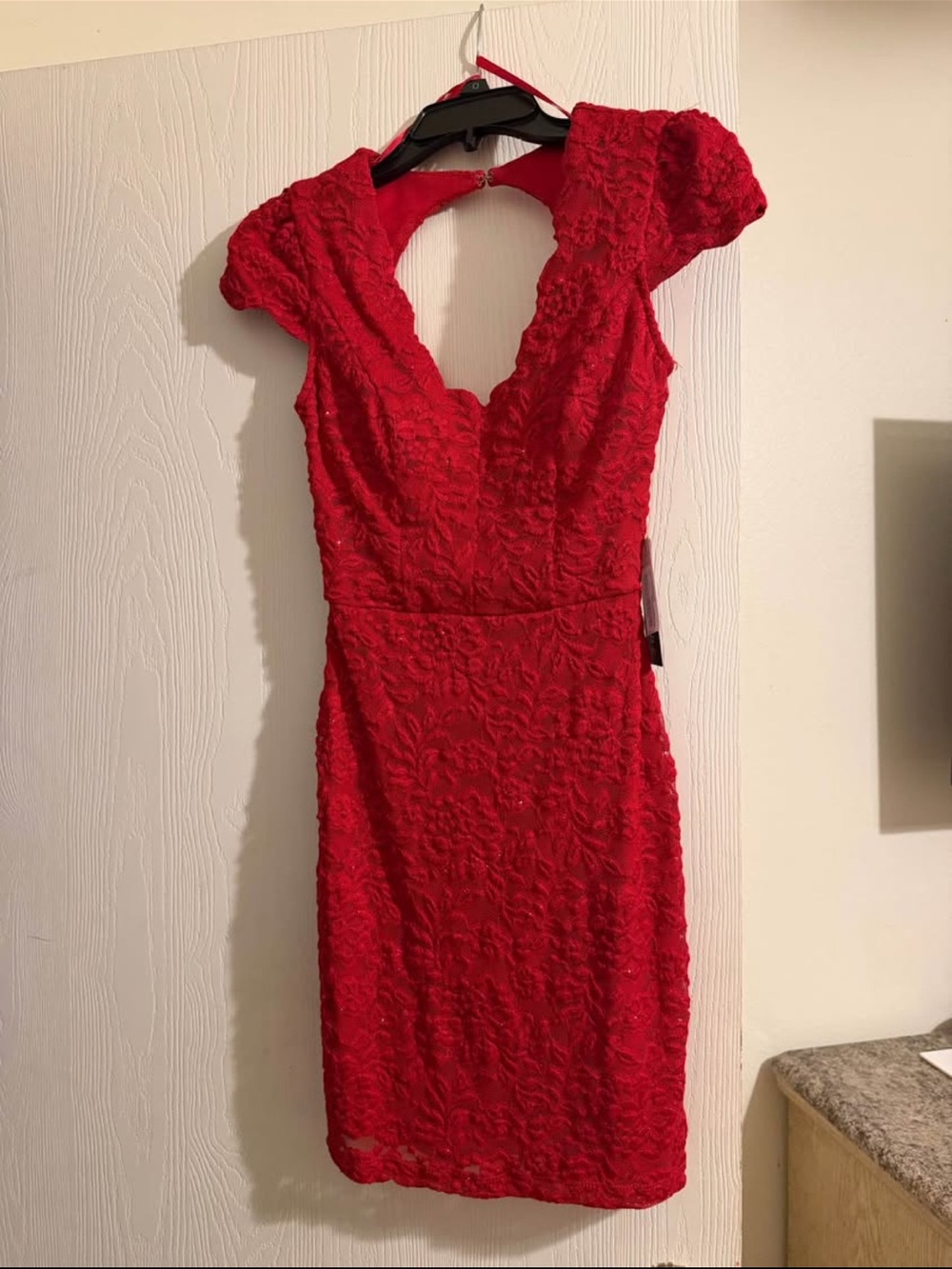 Red Lace V-Neck Short Sleeve Mini Dress